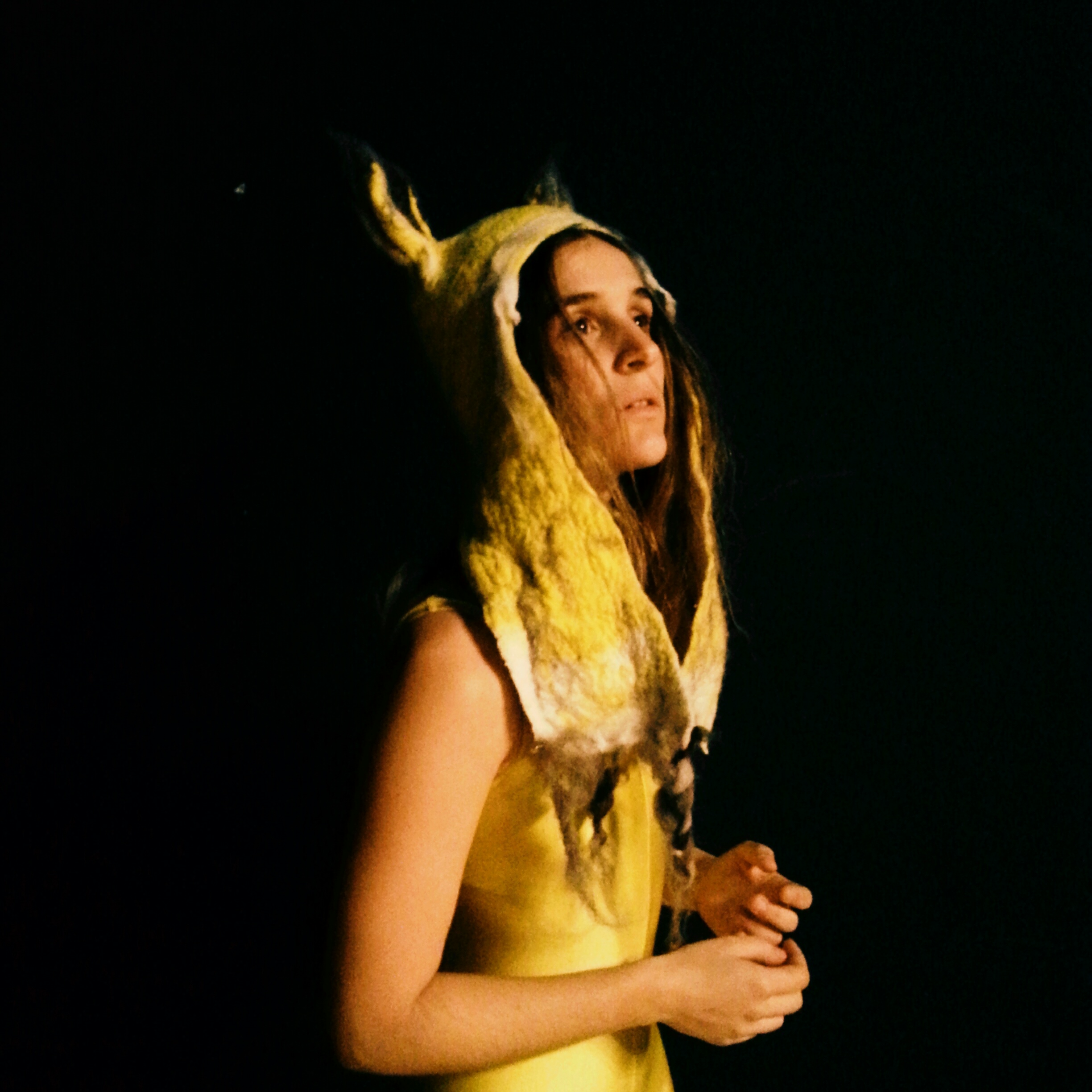 La biche au bois 2.0